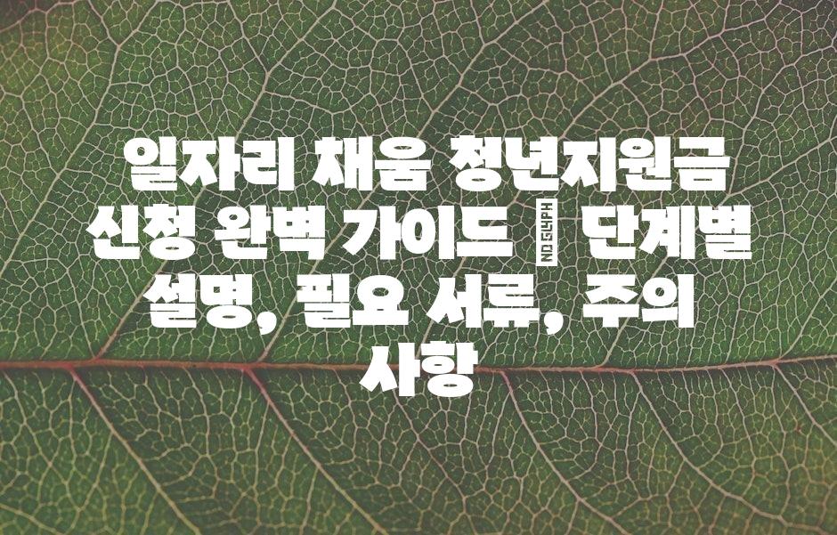 샘플 (43)