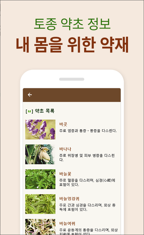 약초 효능 동의보감 사전 어플, 산약초 나물 효능 찾아보기