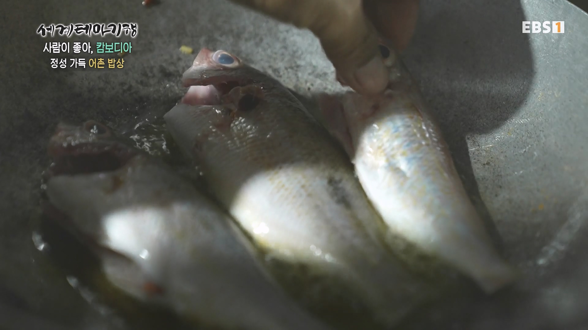 세계테마기행 240207 사람이 좋아, 캄보디아 -그 마을엔 행복이 산다0p.mp4_20240730_193836.094.jpg