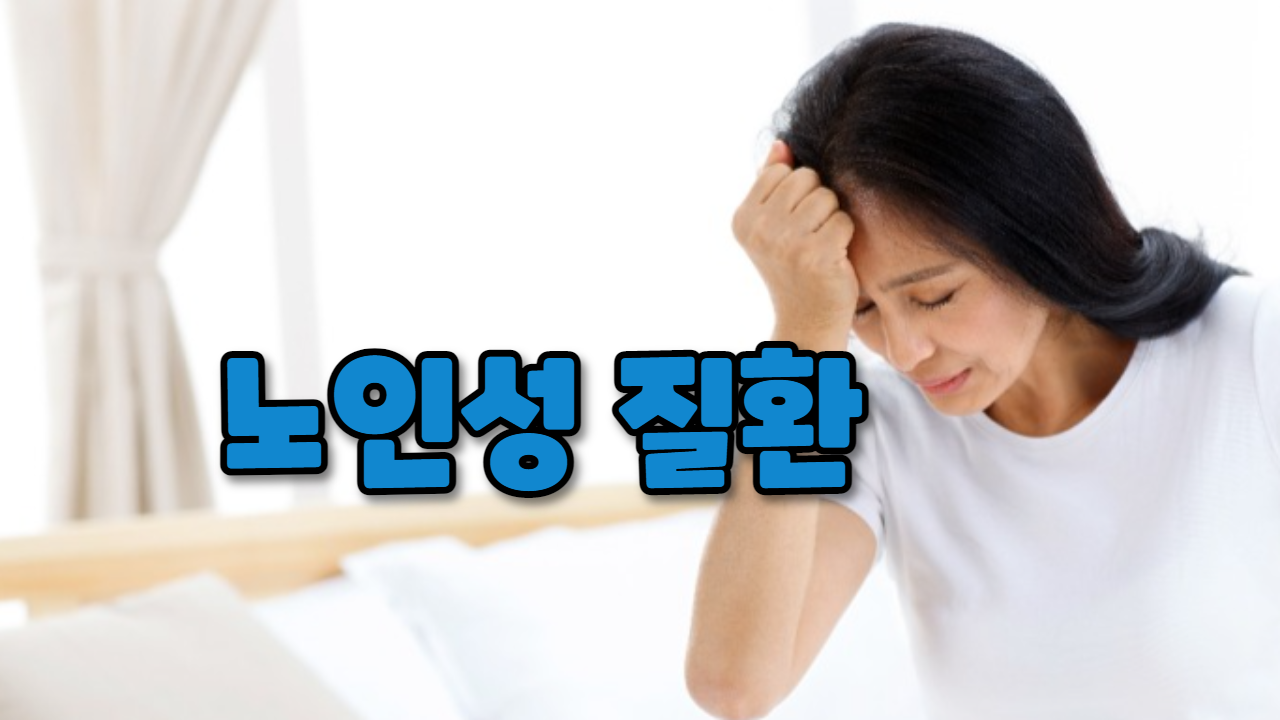  노인성 질환