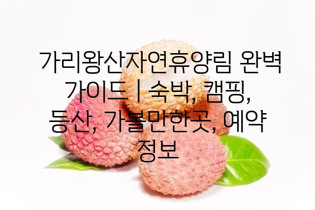 랜덤146