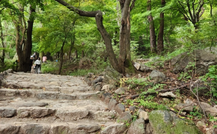 금오산 등산코스