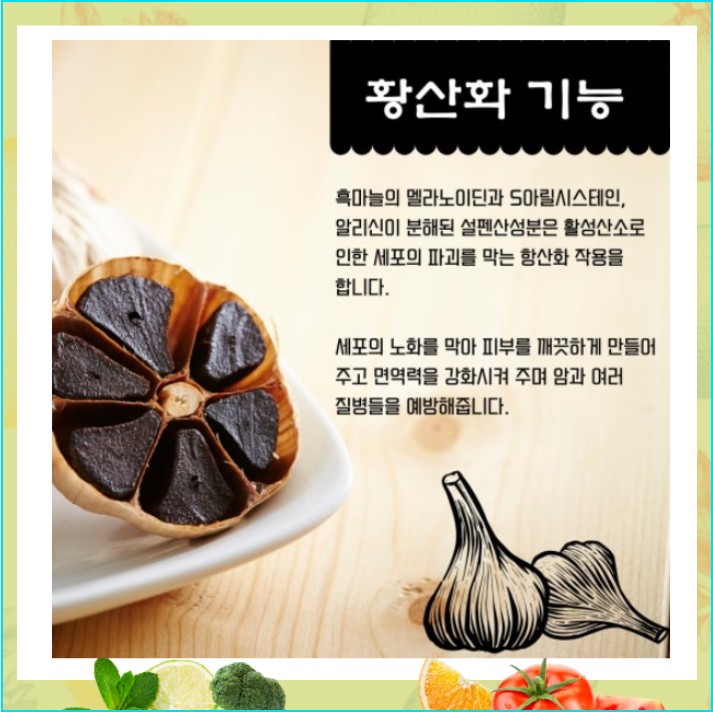 흑마늘항산화-노화예방효능설명