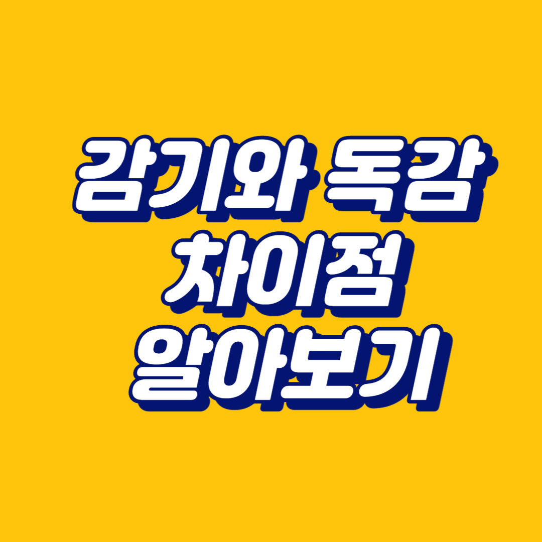 감기와 독감의 차이점을 인식하고 예방하는 법