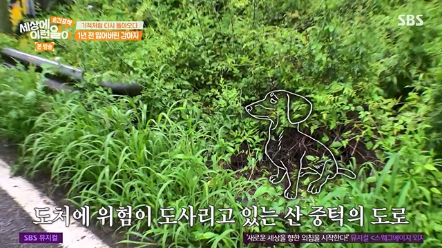 순간포착 세상에 이런일이.E1237.230716p-NEXT.mp4_20230716_174204.847.jpg