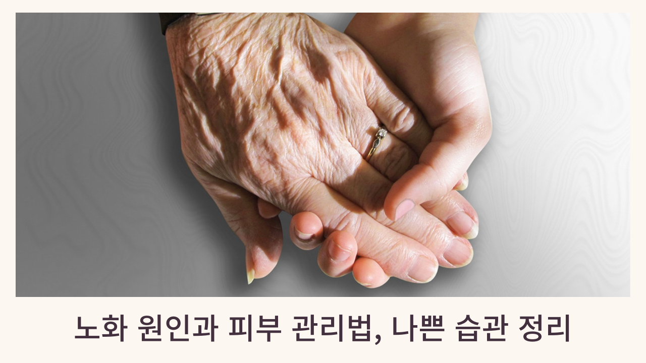 노화의원인 노화
노화피부관리법 노화에나쁜습관