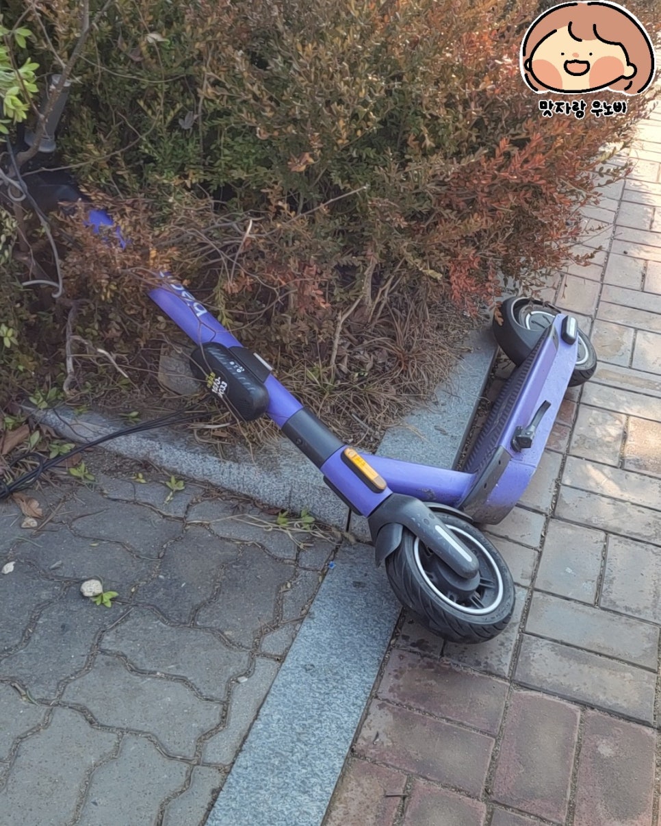  불법 주차된 공유 킥보드 신고하는 방법 쉽게 해결하는 꿀팁
