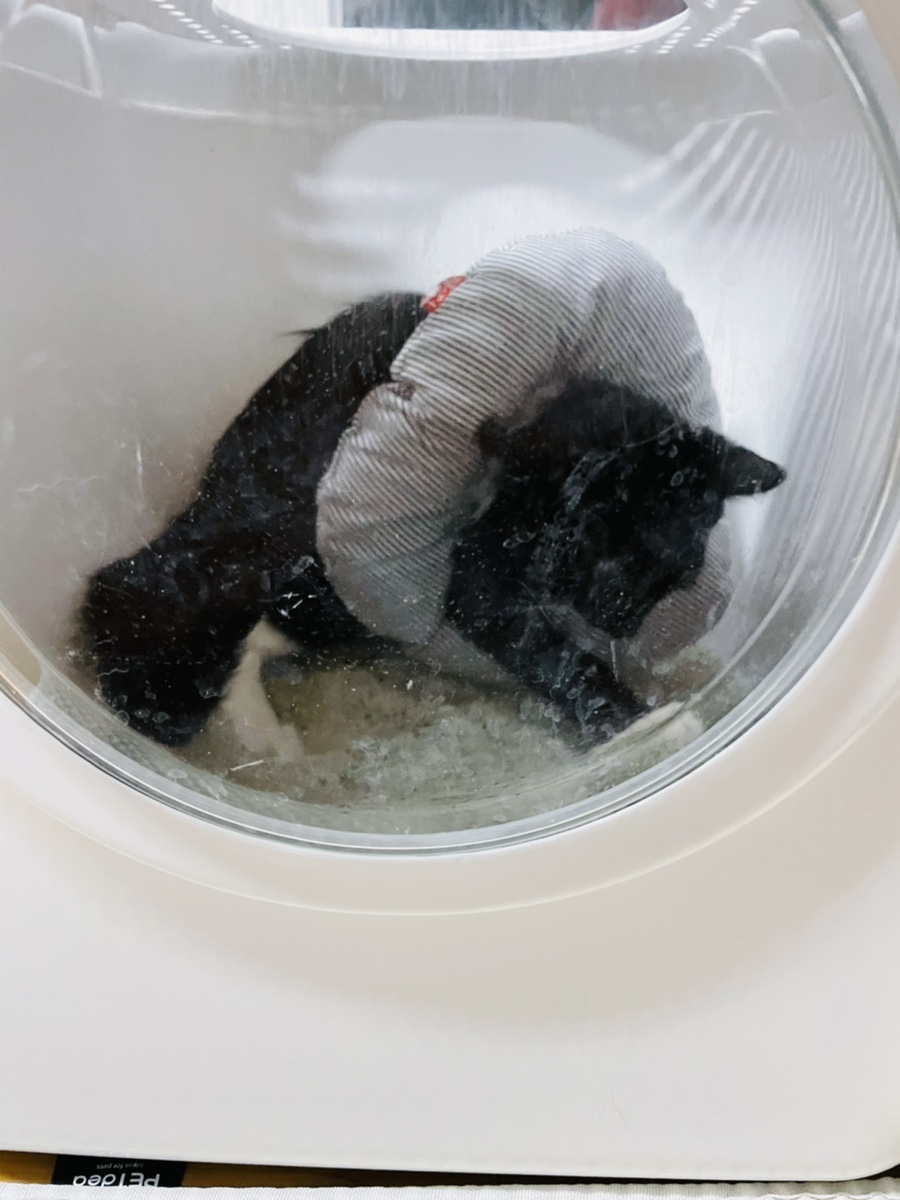 분변처리통 고양이배변냄새 없애고 처리해요! 리터락커 말고 데오큐브 고양이화장실 20