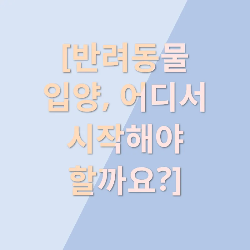 반려동물 입양_1