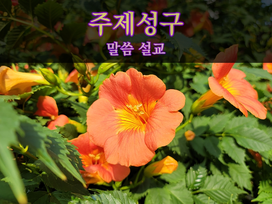  주제성구 말씀 설교