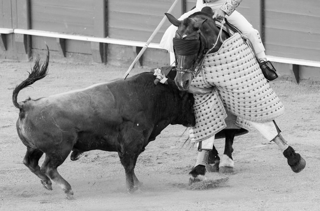 Bullfighting