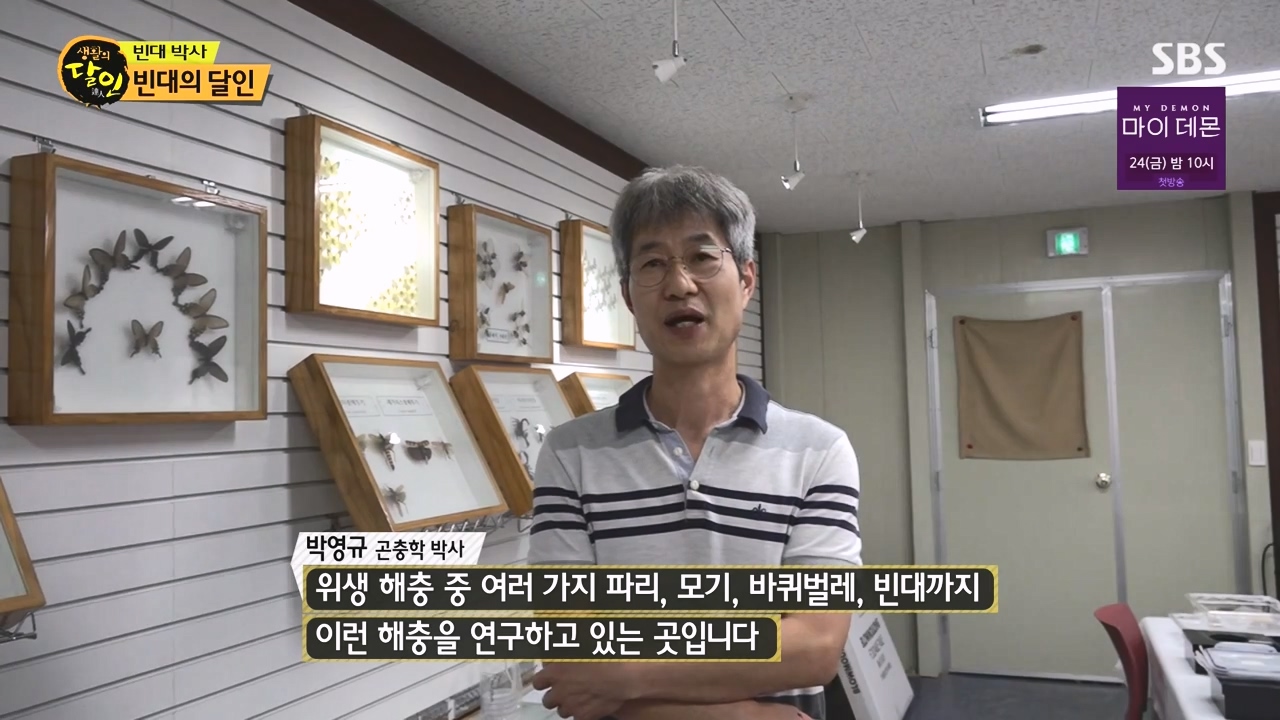 생활의 달인.E911.231114p-NEXT.mp4_20231114_195707.849.jpg