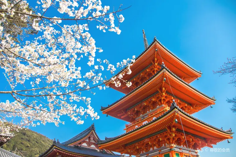 교토&#44; Kiyomizu-dera Temple