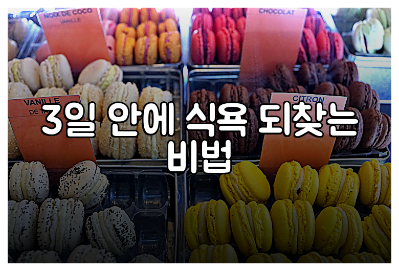 3일 안에 식욕 되찾는 비법