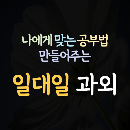  장흥 중등 수학과외 전남 장흥군 고등 영어과외 초등 국어과외 일대일 중학생 초등학생 고등학생 1학년 2학년 3학년