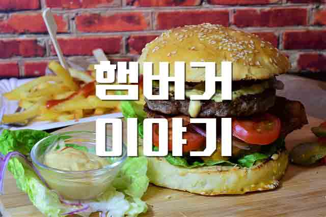  햄버거, 건강하게 나만 몰래 먹는 햄버거