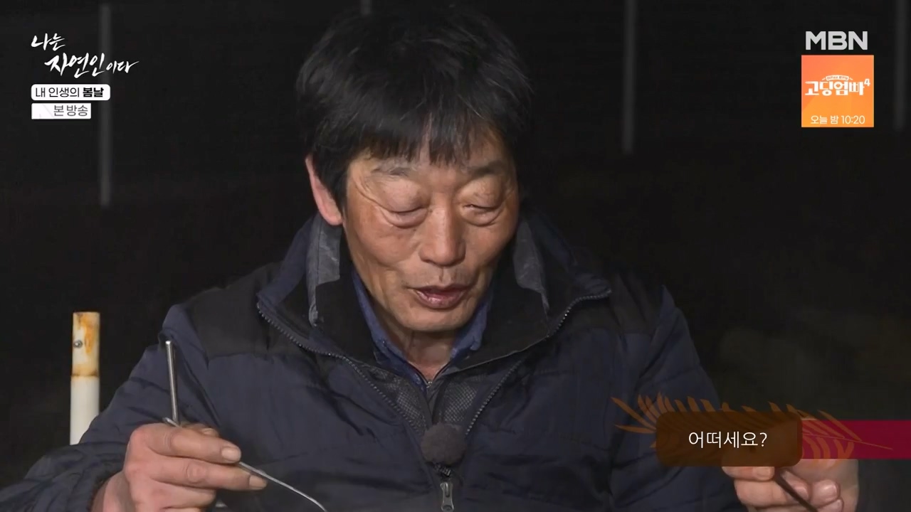 나는 자연인이다.E599.240328p-NEXT.mp4_20240328_195839.332.jpg