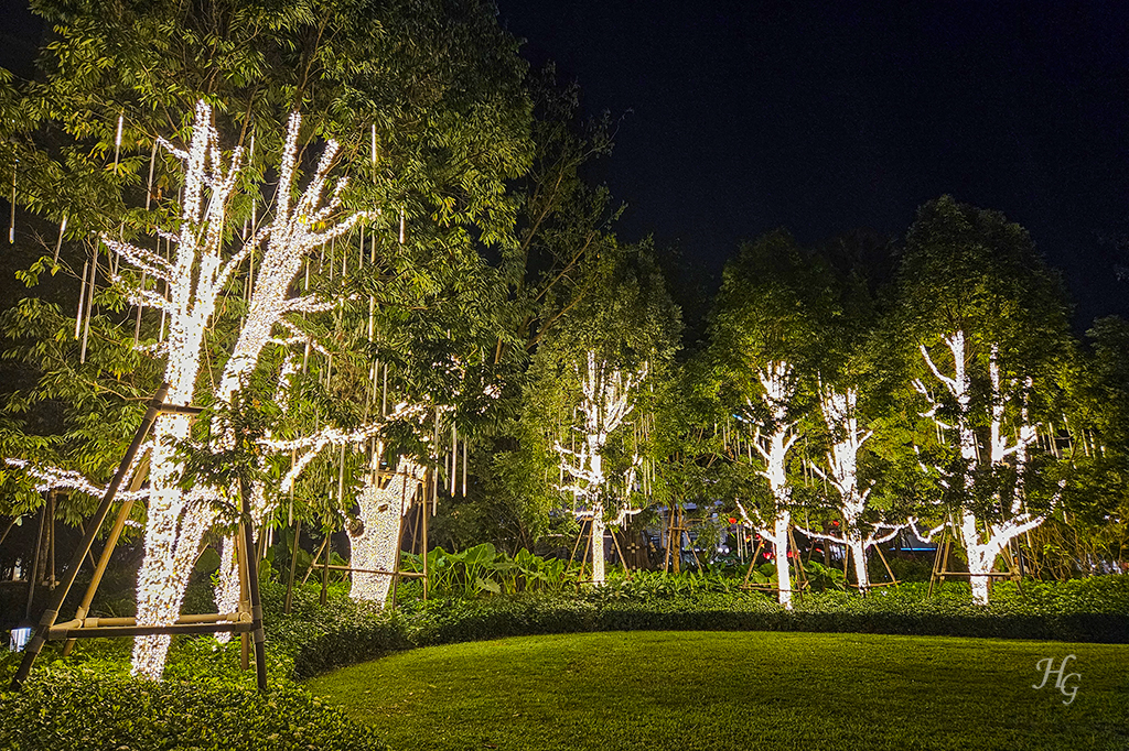 태국 방콕 씬톤 켐핀스키 호텔 Bangkok Sindhorn Kempinski Hotel 해 진 후 야간 정원 불 켜진 나무