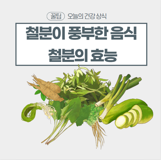  철분이 풍부한 음식과 철분의 효능