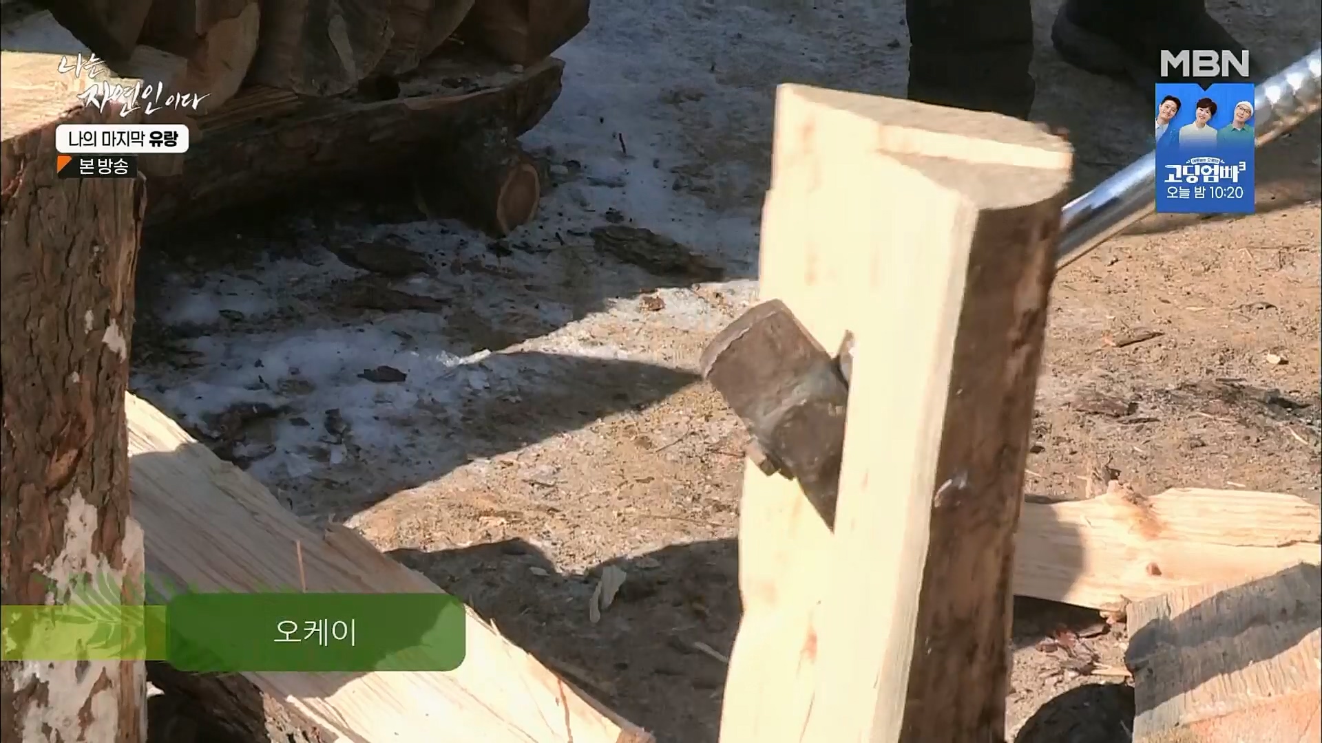 나는 자연인이다.E541.230215p.H264-F1RST.mp4_20230216_192650.280.jpg