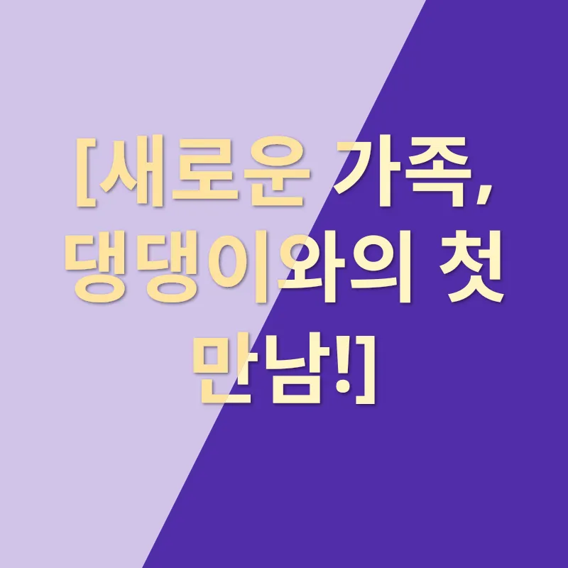 반려견 입양 여정_3