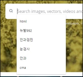  크롬 브라우저 검색창 검색어 기록 삭제하는 방법