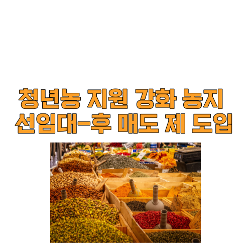  청년농 지원 강화 농지 선임대-후 매도 제 도입