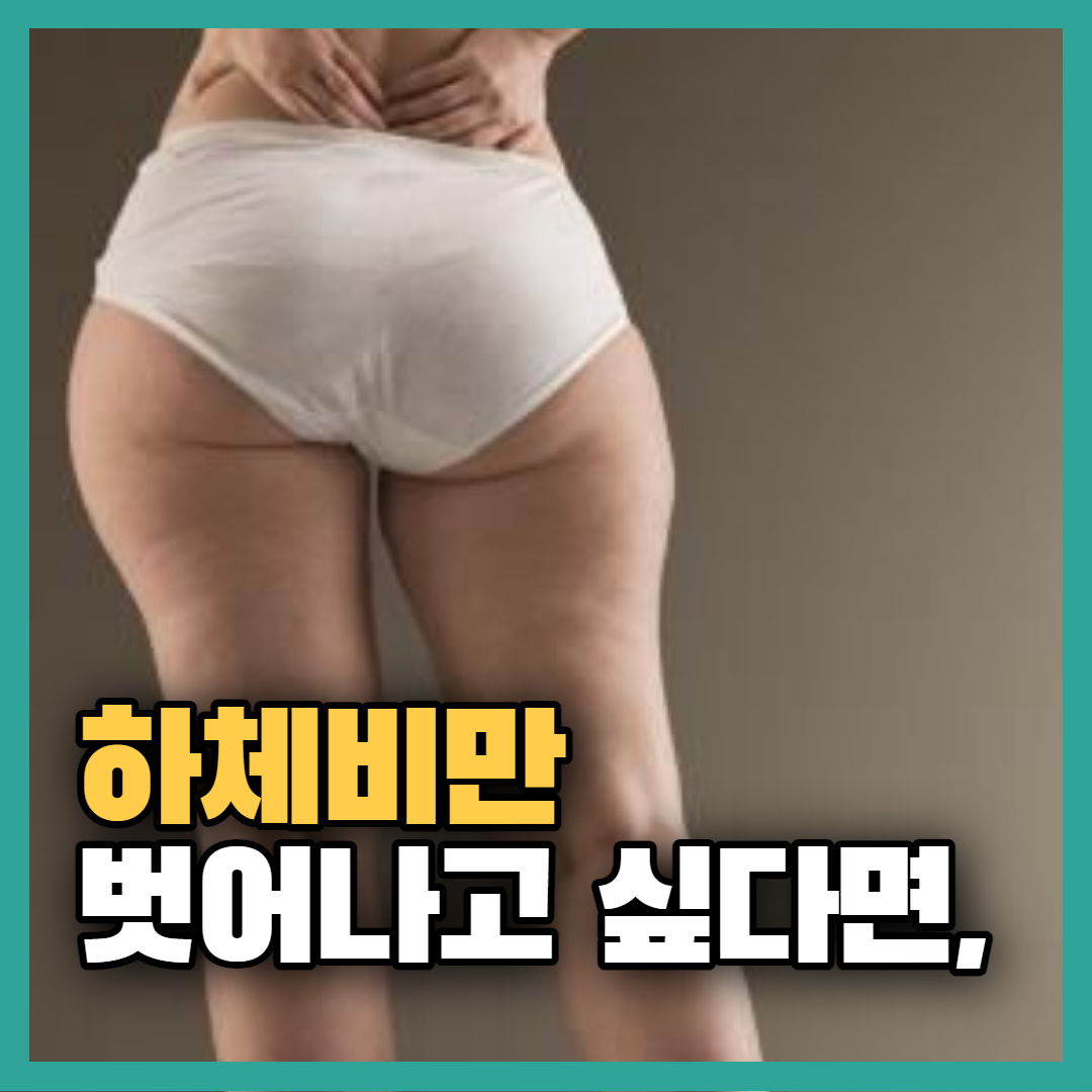 하체비만 탈출