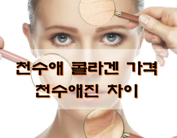  천수애 콜라겐 가격  천수애진 차이