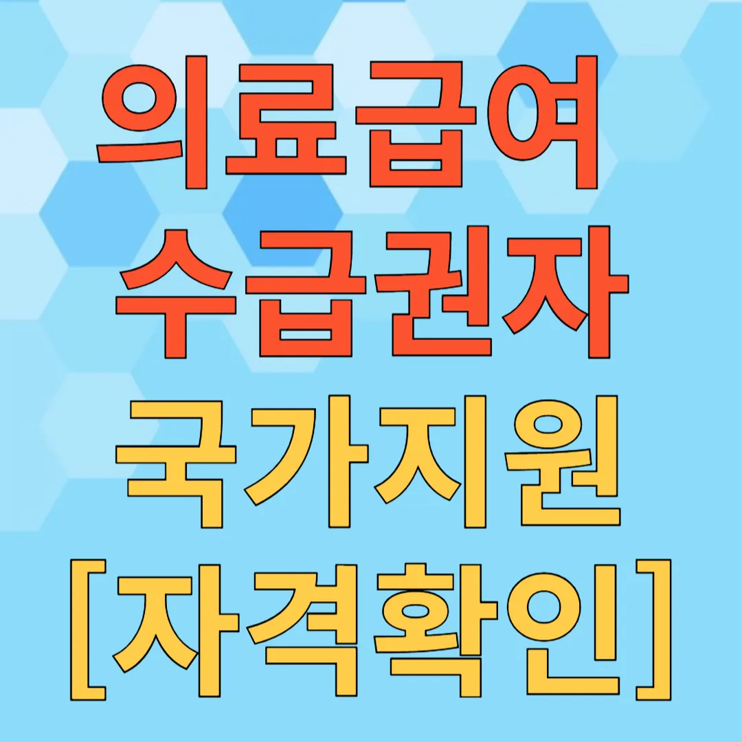 의료급여 수급권자 자격확인