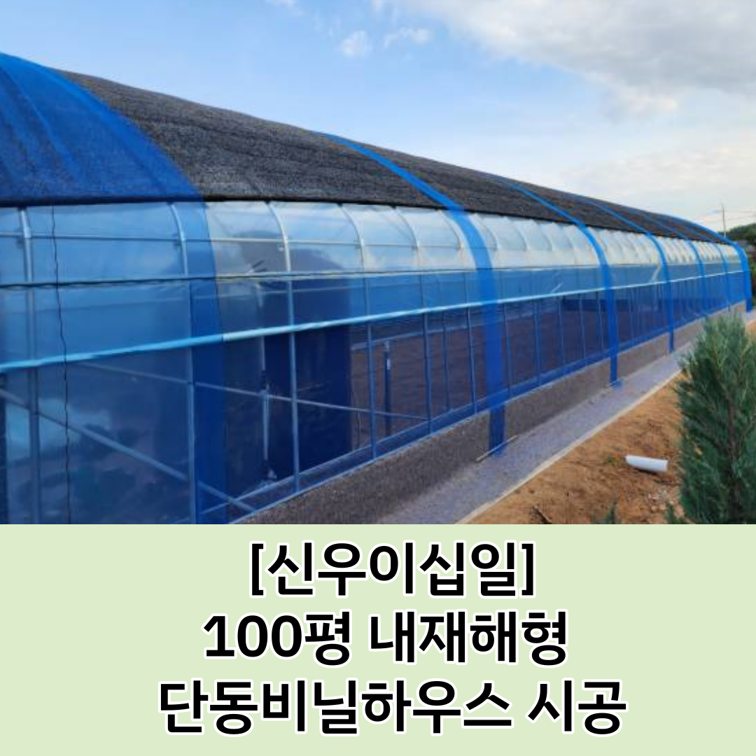  [비닐하우스 보조사업] 화성시 웰빙하우스 보조사업 내재해형 단동하우스 시공사례 / 비닐하우스 단동 시공 / 100평 비닐하우스 시공 / 100평 1형식 단동 하우스 시공사례 / 웰빙하우스 보조사업..