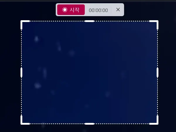 동영상 캡처