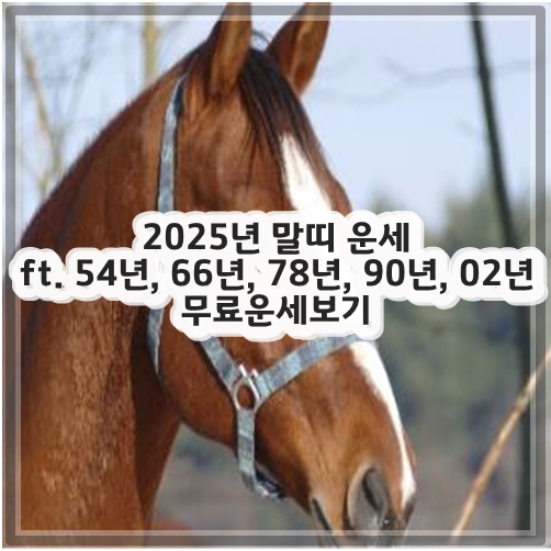 2025년 말띠 운세 ft. 54년, 66년, 78년, 90년, 02년 무료운세보기