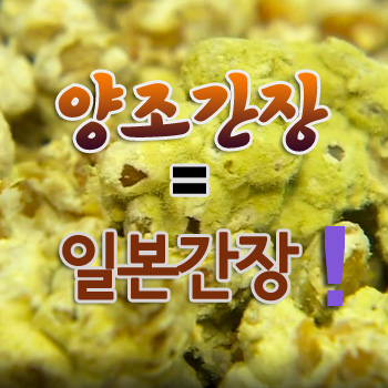  발효이야기 ⑥ - 양조간장을 왜간장으로 부르는 까닭