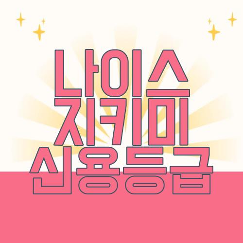 나이스 지키미 신용등급