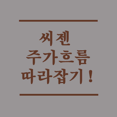  씨젠 주가는 코로나를 타고. 델타변이 바이러스가 좋은 일은 아니지만.