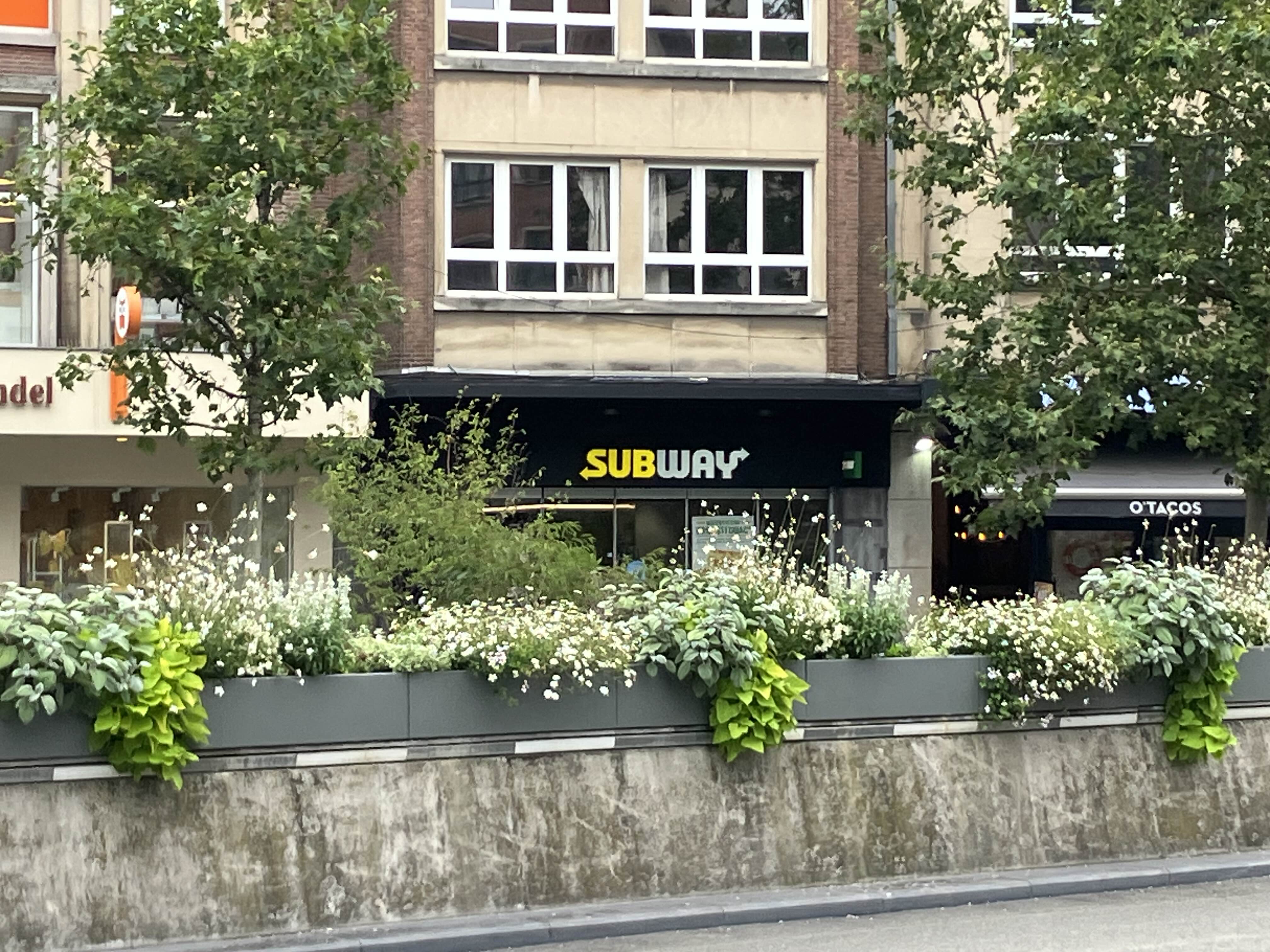  Everyday Subway Challenge