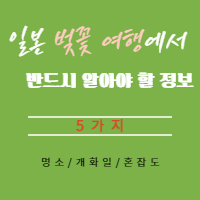 일본-벚꽃-여행에서-반드시-알아야-할-정보-5가지