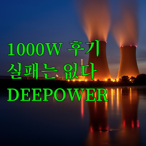 DEEPOWER 전기 자전거 1000