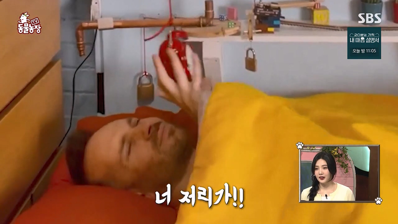 TV 동물농장.E1172.240520p-NEXT.mp4_20240519_162214.369.jpg
