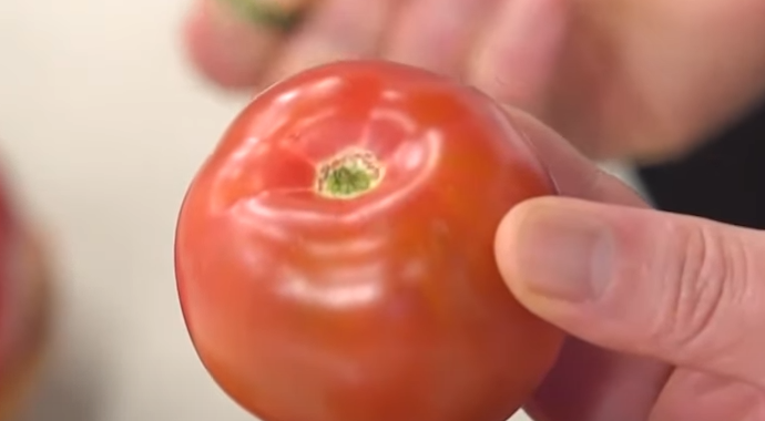 토마토실온보관방법