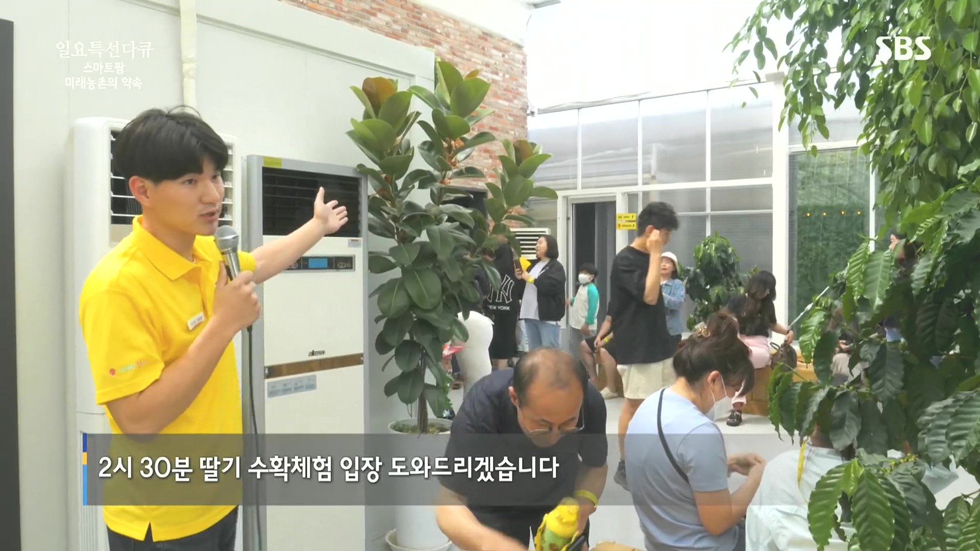일요 특선 다큐멘터리.E348.240804p.H264-F1RST.mp4_20240805_195527.720.jpg