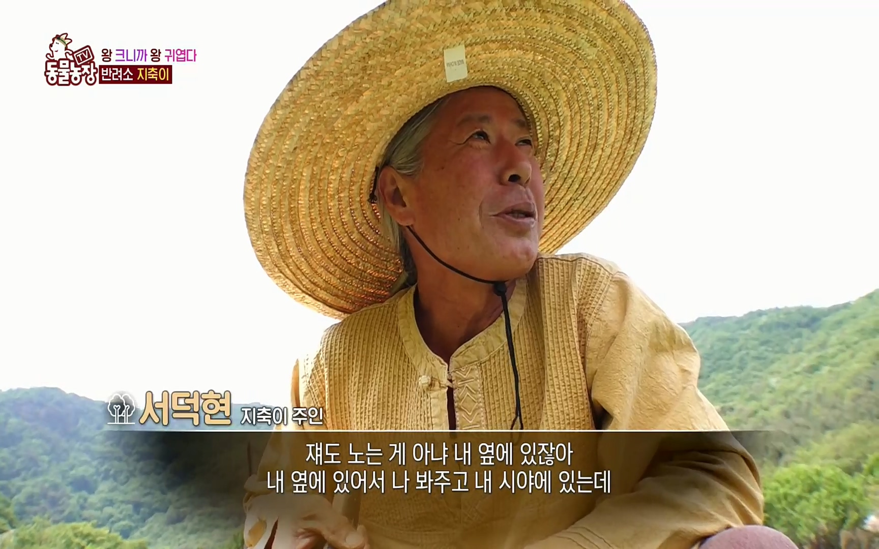 TV 동물농장.E1074.220619p.H264-F1RST.mp4_20220619_181053.032.jpg
