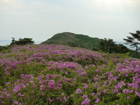  장흥 제암산, 일림산, 사자산 [수락마을~일림산~자연휴양림]