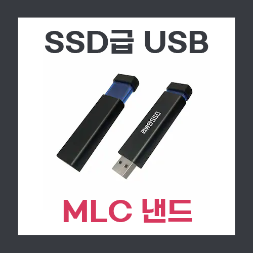  [USB] 리뷰안 UX300 256GB 리뷰 및 벤치마크