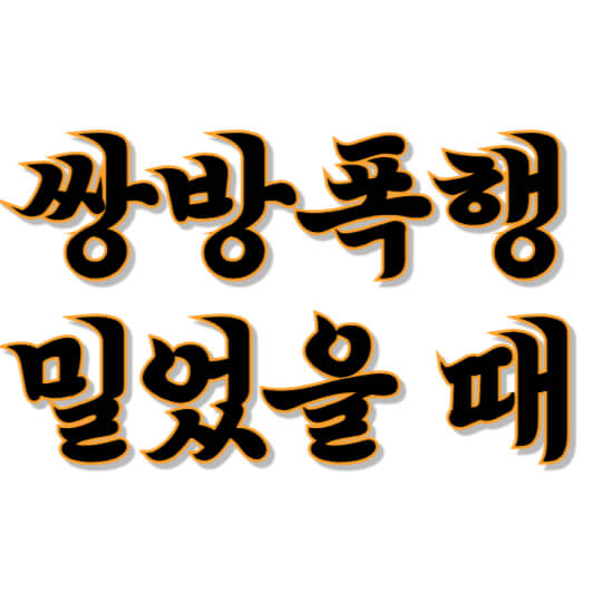 쌍방폭행 밀었을 때