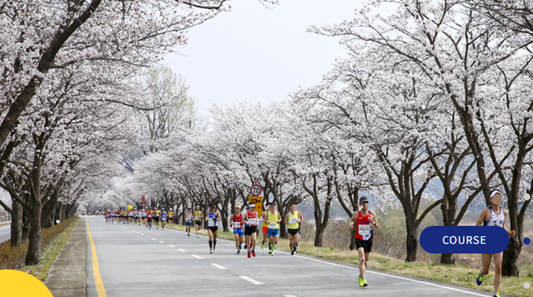 합천_벚꽃마라톤_대회_사진출처_합천_벚꽃마라톤_홈페이지_캡쳐