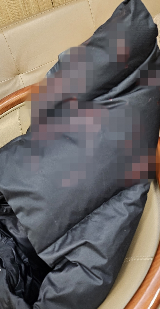 출처 배현진 의원실 제공. 서울신문