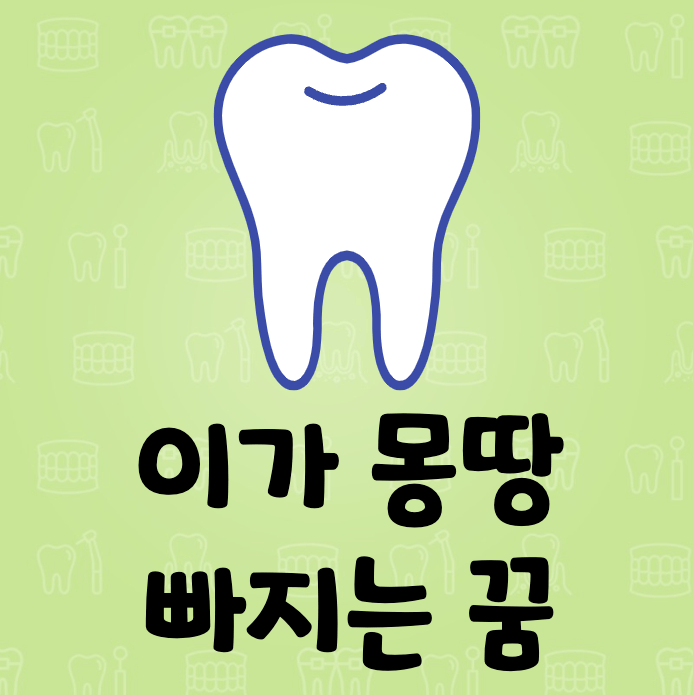 치아 1개
