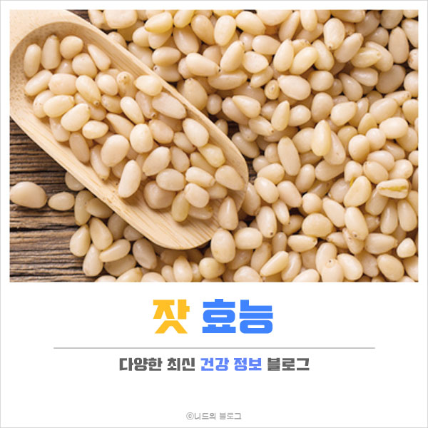  잣 효능